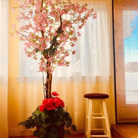 Good Location Apartment Surrey Bagian luar foto
